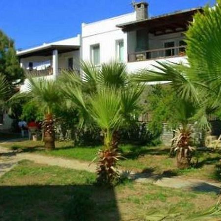 Alfa Apartments Bodrum Luaran gambar