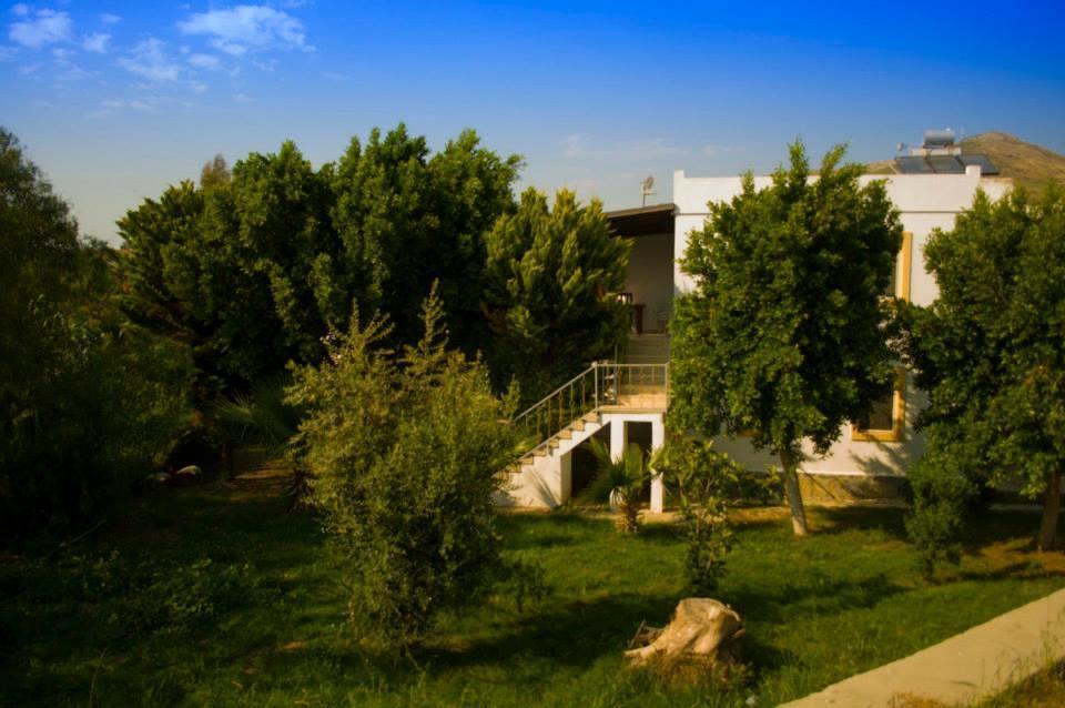Alfa Apartments Bodrum Luaran gambar