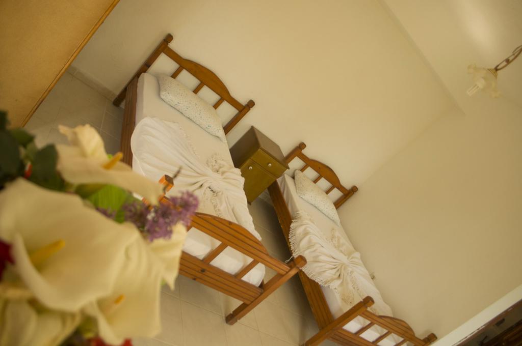 Alfa Apartments Bodrum Luaran gambar