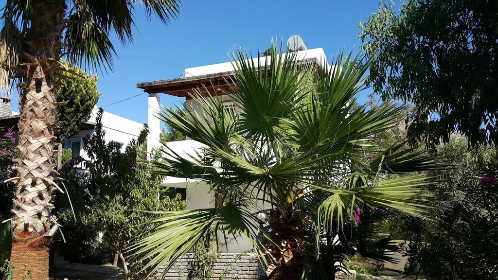 Alfa Apartments Bodrum Luaran gambar