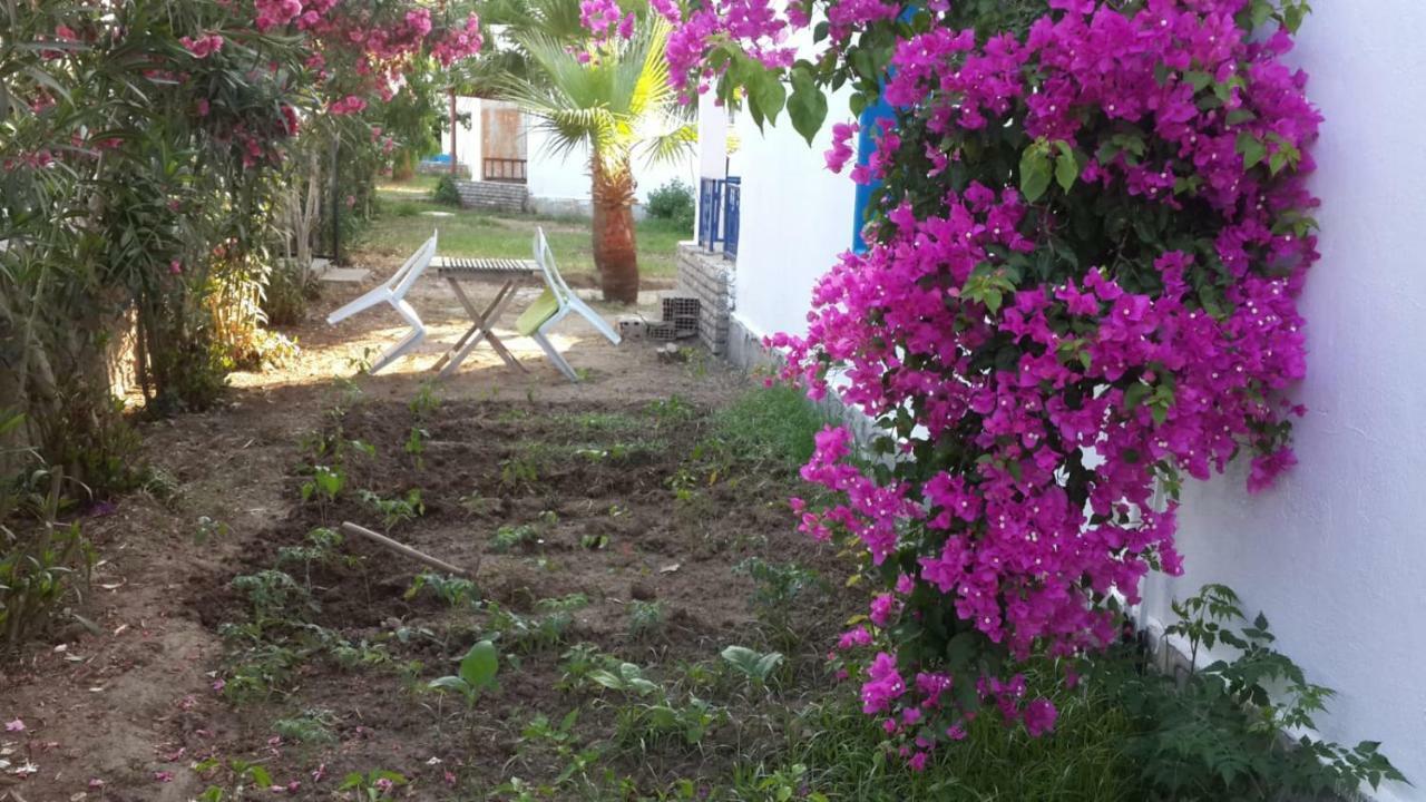 Alfa Apartments Bodrum Luaran gambar