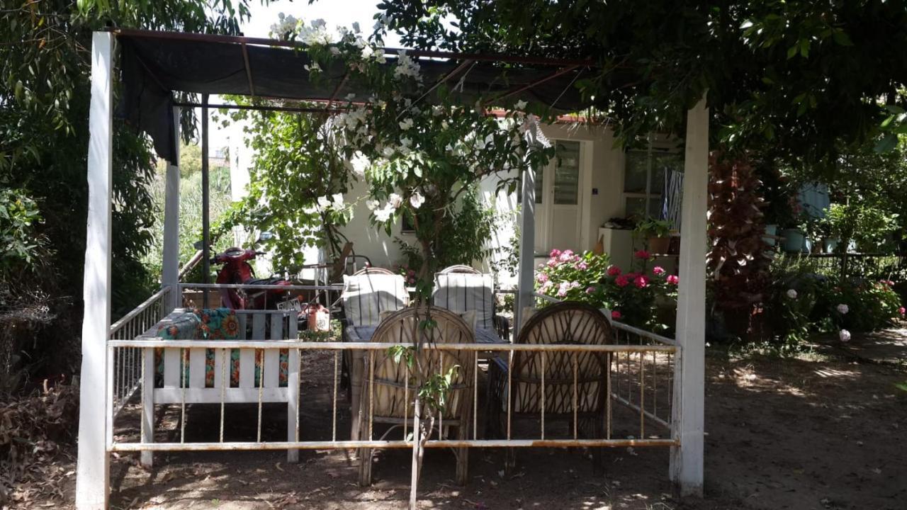 Alfa Apartments Bodrum Luaran gambar