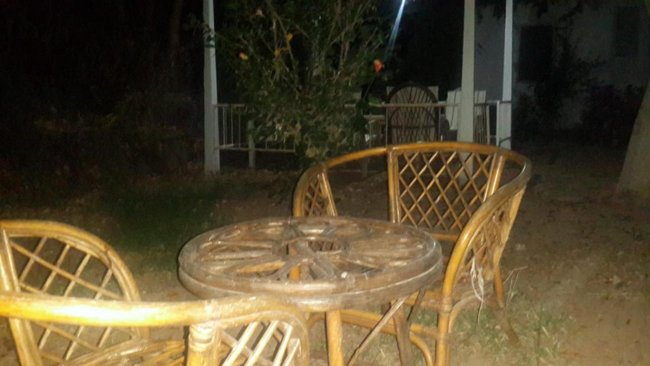 Alfa Apartments Bodrum Luaran gambar