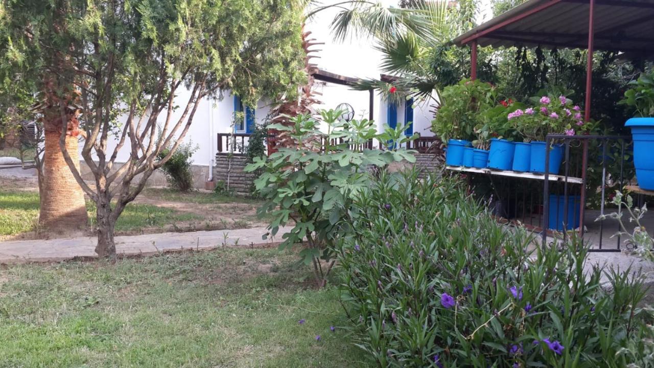 Alfa Apartments Bodrum Luaran gambar