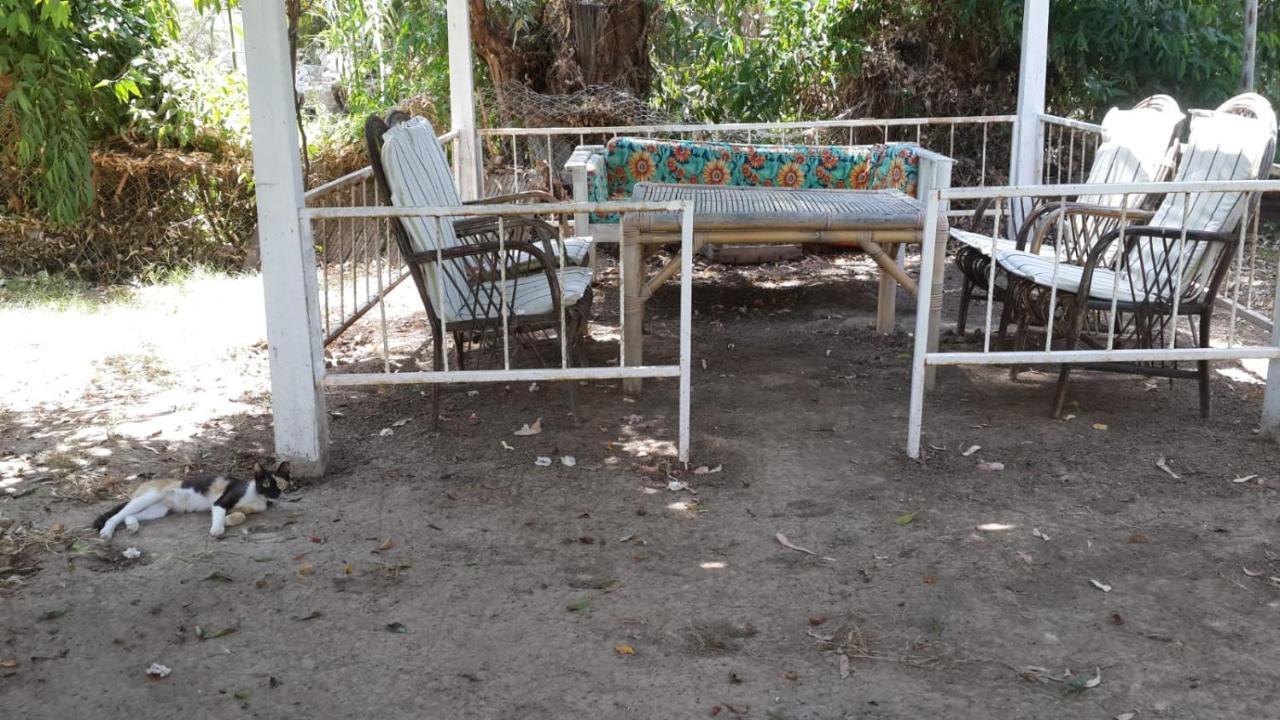 Alfa Apartments Bodrum Luaran gambar